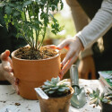 Technische Helfer für den eigenen Garten